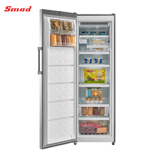 260L R600a Single Door Automatic Defrost Upright Commercial Freezer